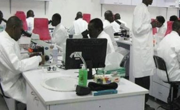 Tuberculosis: Nigeria records highest infection rate in Africa