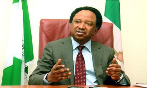Witness explains how ex-Kaduna senator, Shehu Sani hurriedly returned $25,000 to ‘victim’