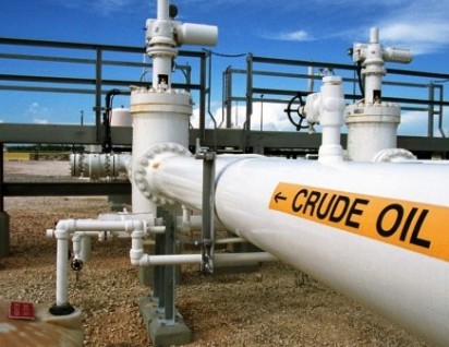 Crude oil discovered in Borno, says FG