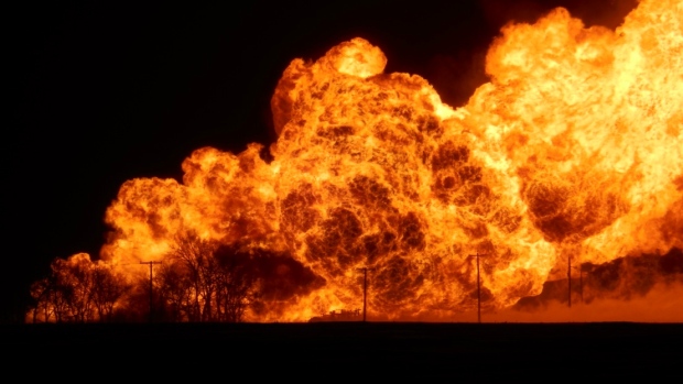 Elderly man dies in forest fire trying to save animals