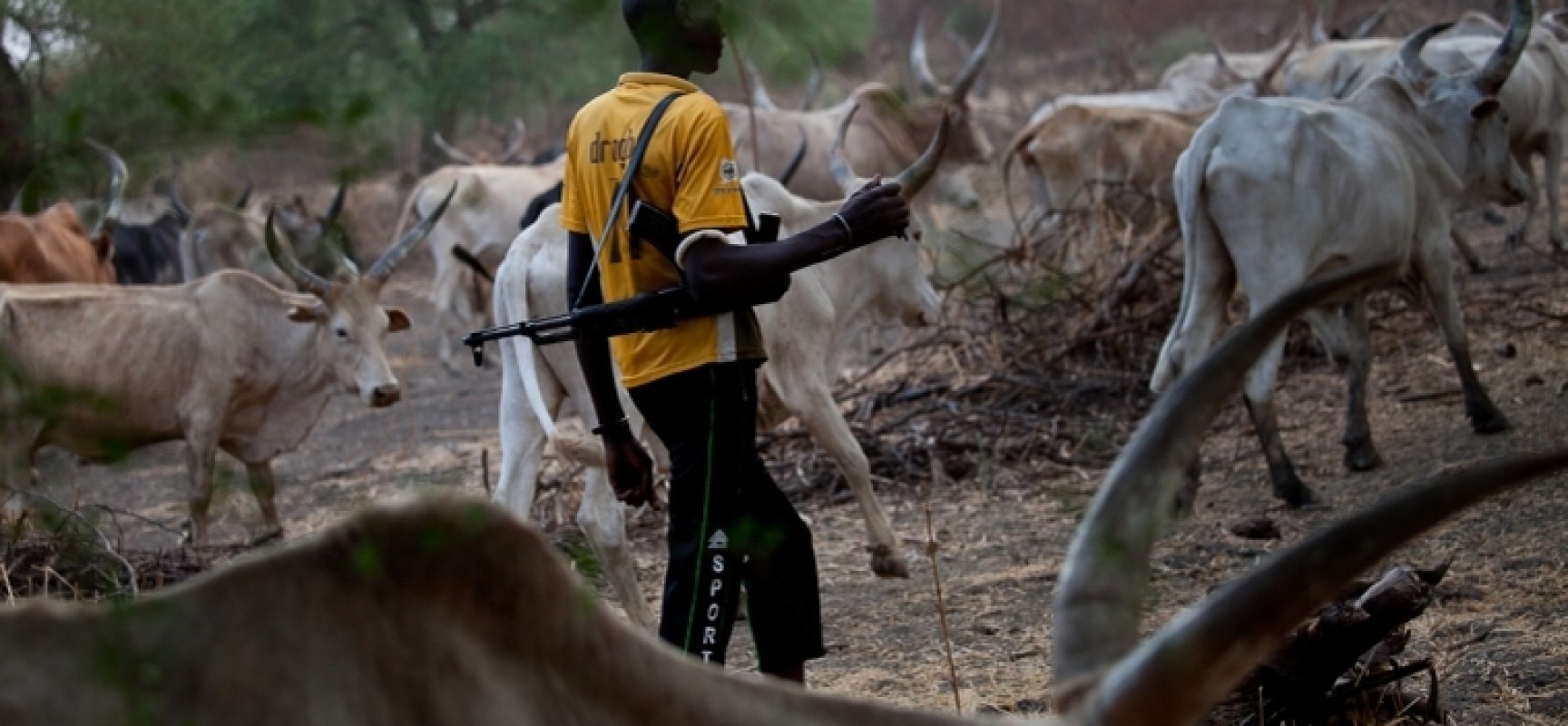 Group blames Ortom, Ishaku over mass killing of Fulanis