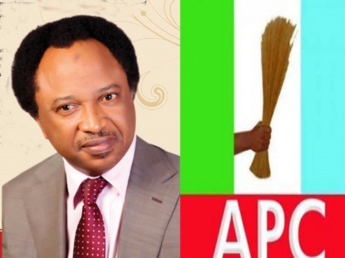 I have been suspended over 20 times, yet I remain a member of the party – Senator Sani