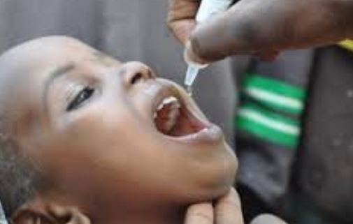 Polio: Jigawa targets 1.7m children for immunisation