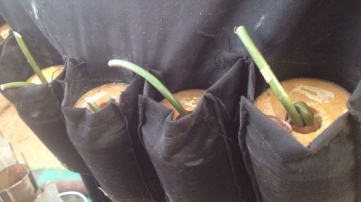 Suicide bomber kills four in Konduga