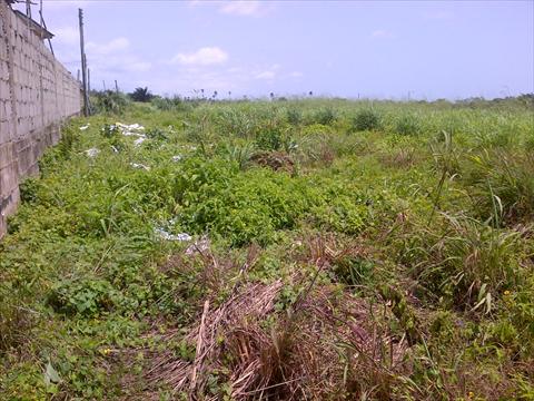 Lagos receives 1,237 petitions on land grabbing in 7 months