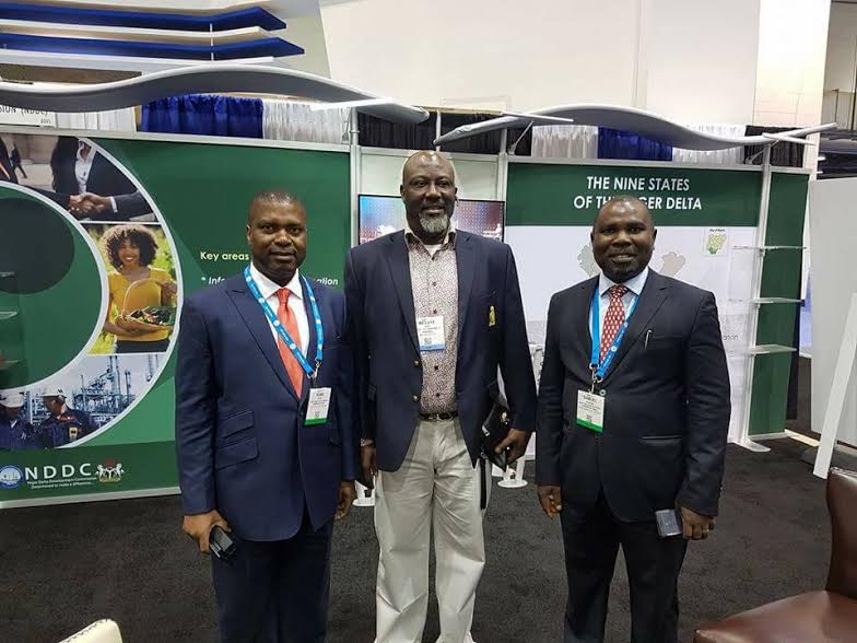Niger Delta now an investment destination - NDDC MD