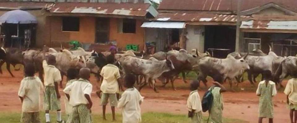 JUST IN: Obaseki places 90-day total ban on grazing