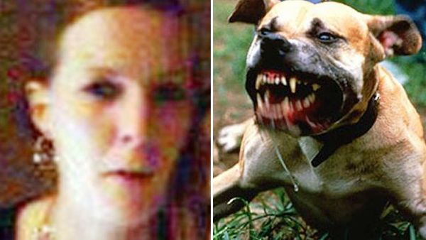 Woman pensioner killed by two dogs in Ireland