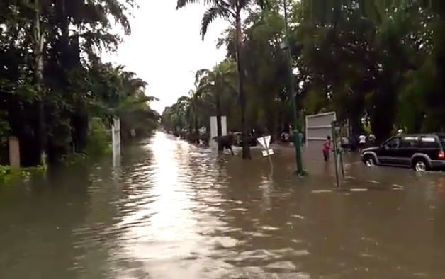 Trending: Watch cars swim as heavy rainfall floods VGC