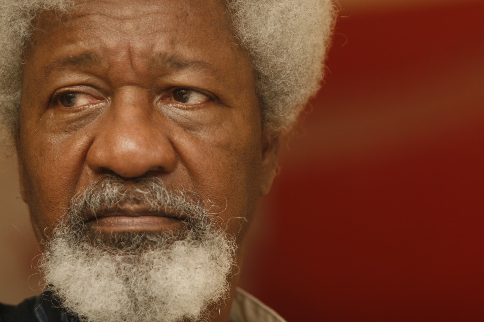 In pursuit of justice, productivity, under the rule of law – By Wole Soyinka