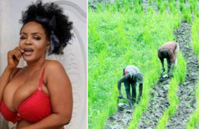 Cossy dumps acting for farming?