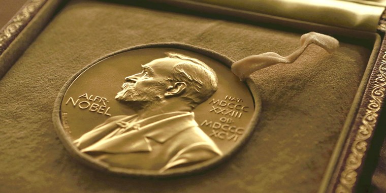 Why we won’t hold 2018 Nobel Literature prize award – Swedish Academy