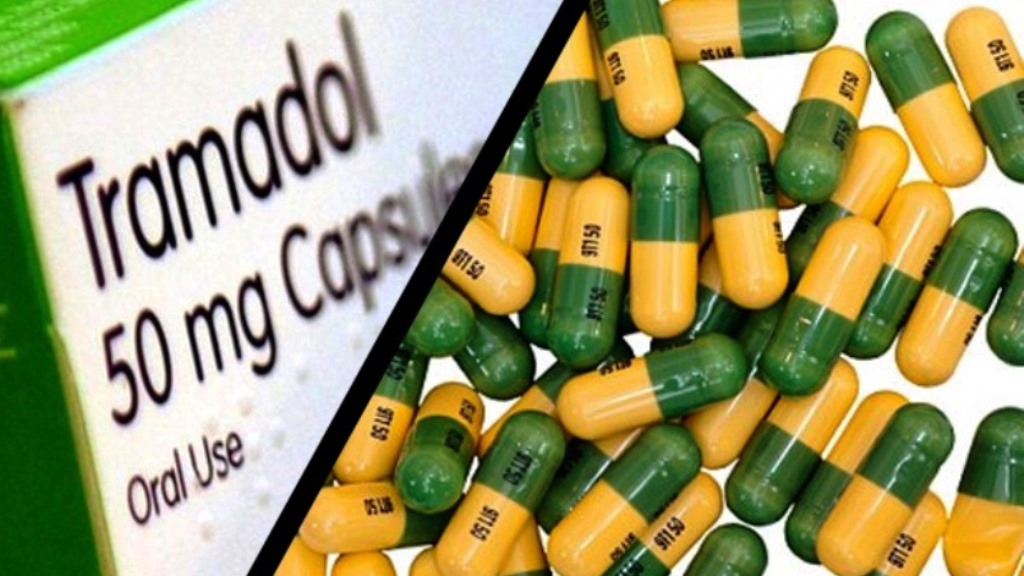 Tramadol seizures increased to 170 tonnes in West Africa – Report