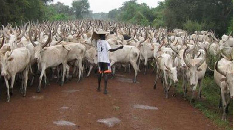 DSS summons cattle dealers over food blockade on Southern Nigeria
