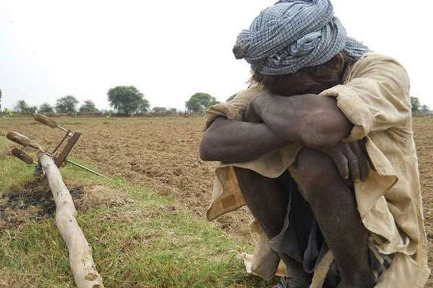 639 farmers commit suicide due to crop failure
