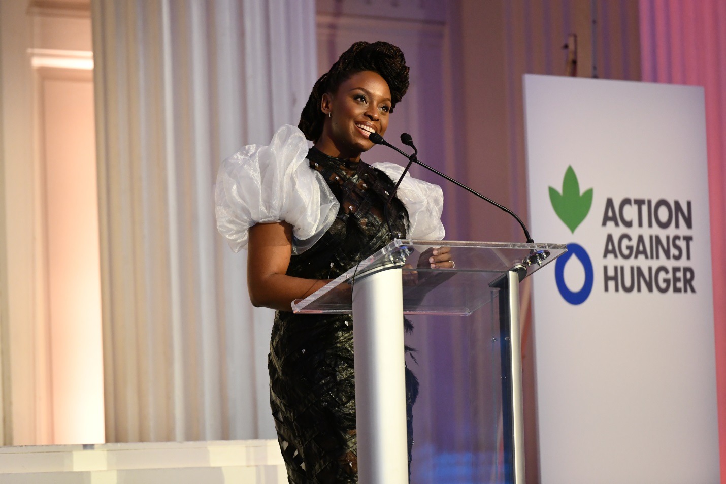 Chimamanda Ngozi Adichie honoured for fight against hunger