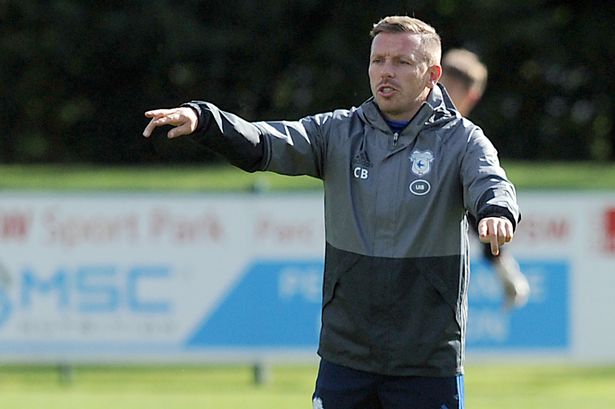Bellamy steps down as Cardiff City coach over bullying claims