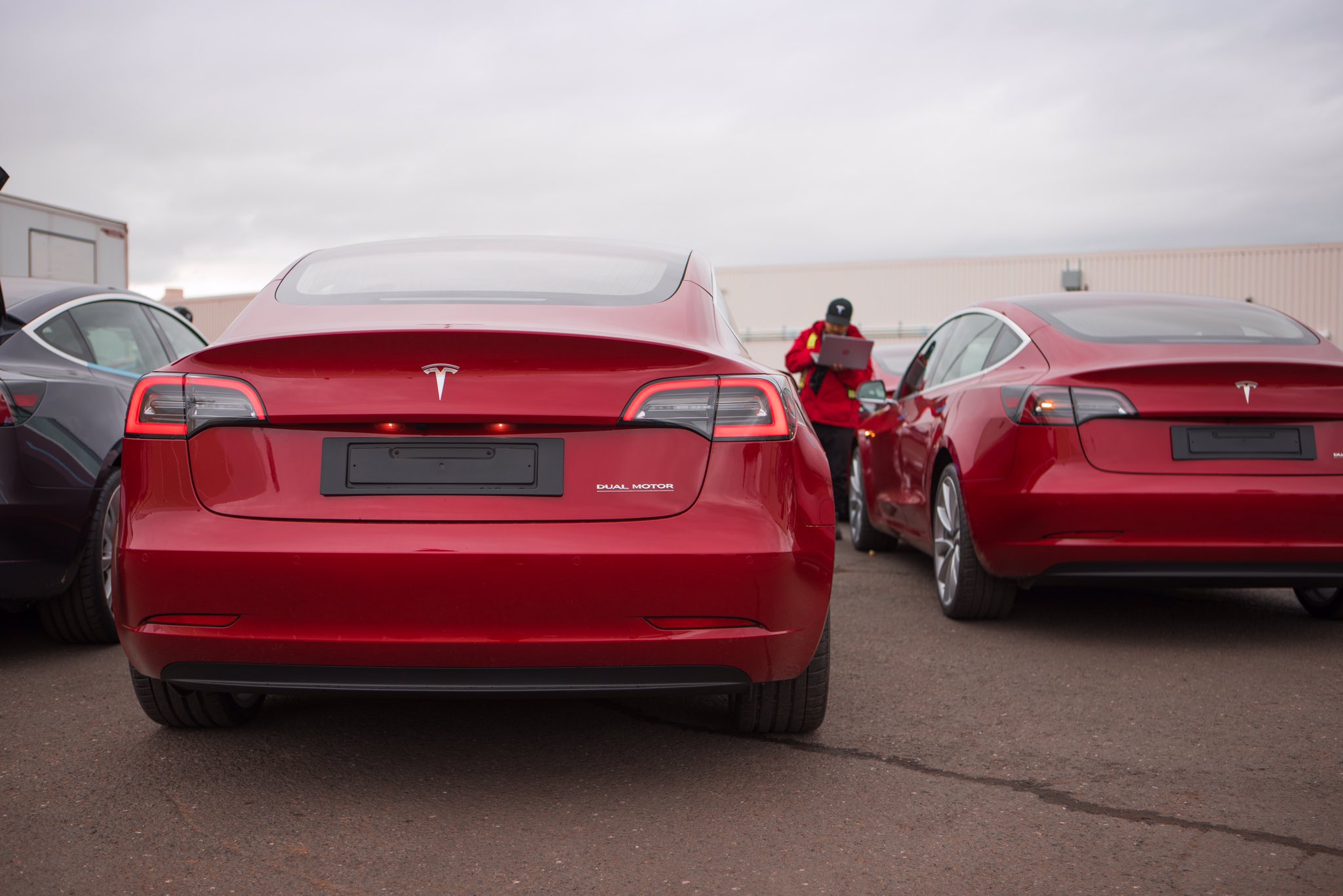 Tesla Model 3 collides trailer, occupant dies on the spot