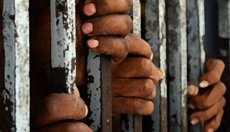 Court sentences 11 to life imprisonment for joining Islamic State