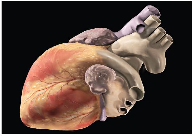 Man dies of heart attack while watching porn