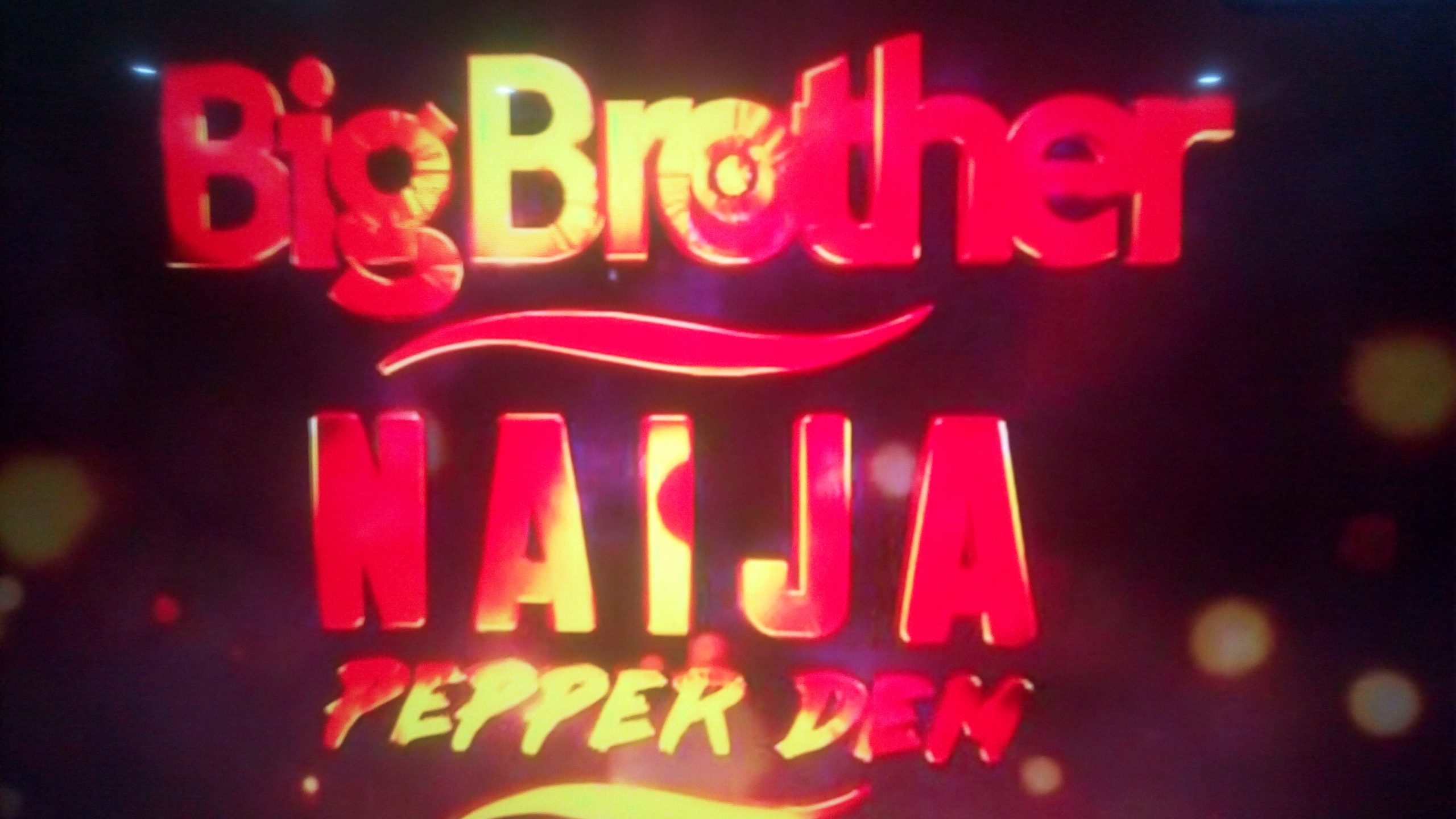 Breaking: Brother Brother Nigeria 2019 kicks off with a bang