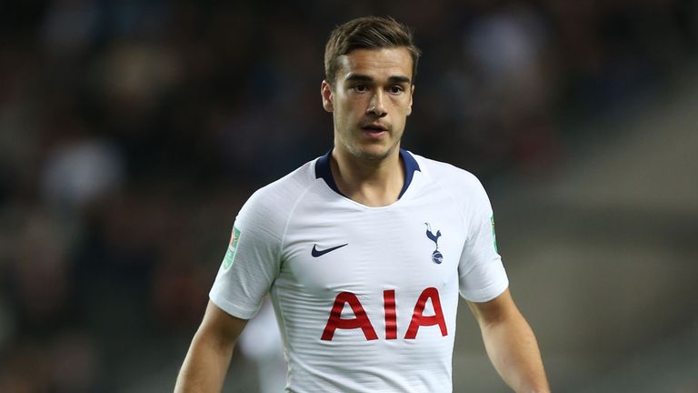 Tottenham: I never dreamt of Champions League final – Winks