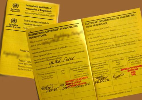 FG phases out old version of yellow card on July 1