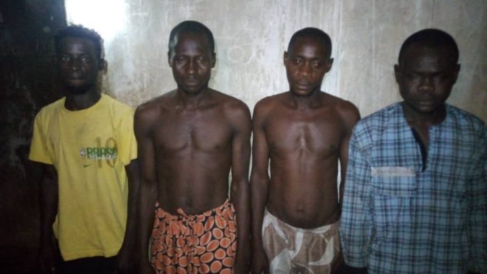 Lagos Police arrest 86 cultists, recover 11 pistols