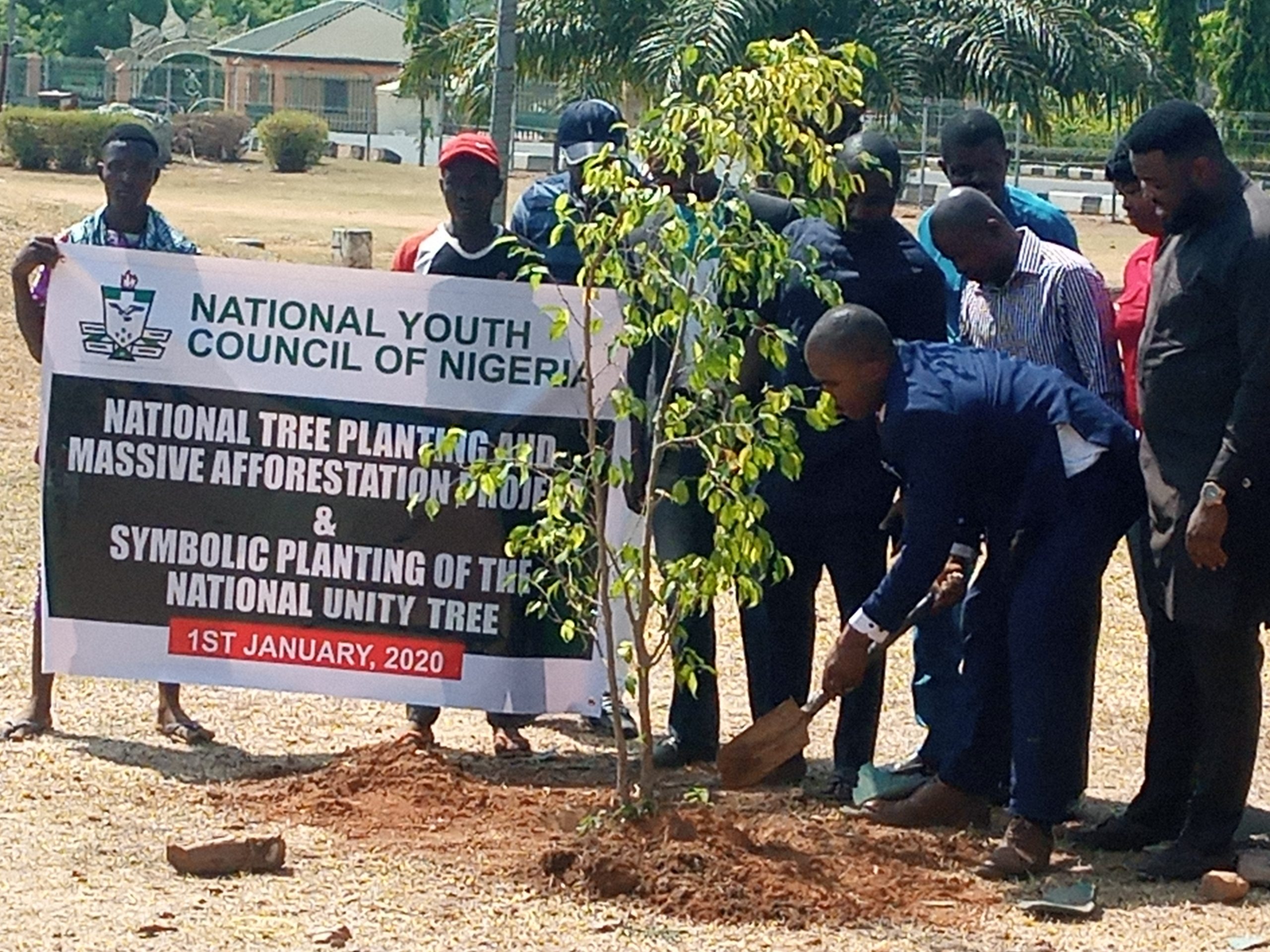 NYCN commences planting of millions of trees across Nigeria