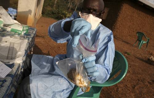 Lassa fever kills four in Kogi