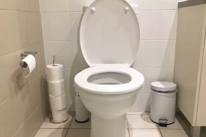 See why you should not sit on toilet seats for more than 15 minutes