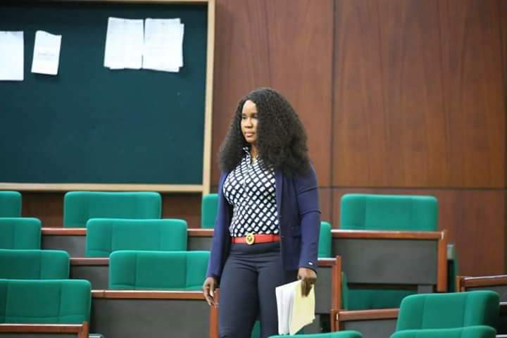 Former House of Reps member faces backlash for Special Adviser appointment