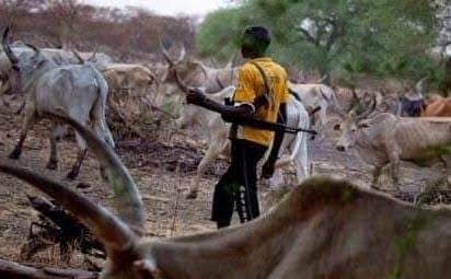 Why killer Fulani herdsmen are terrorists – By Sonnie Ekwowusi