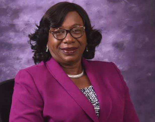 Choice of New ICAN President attests to excellence of Delta Womenfolk - Omo-Agege