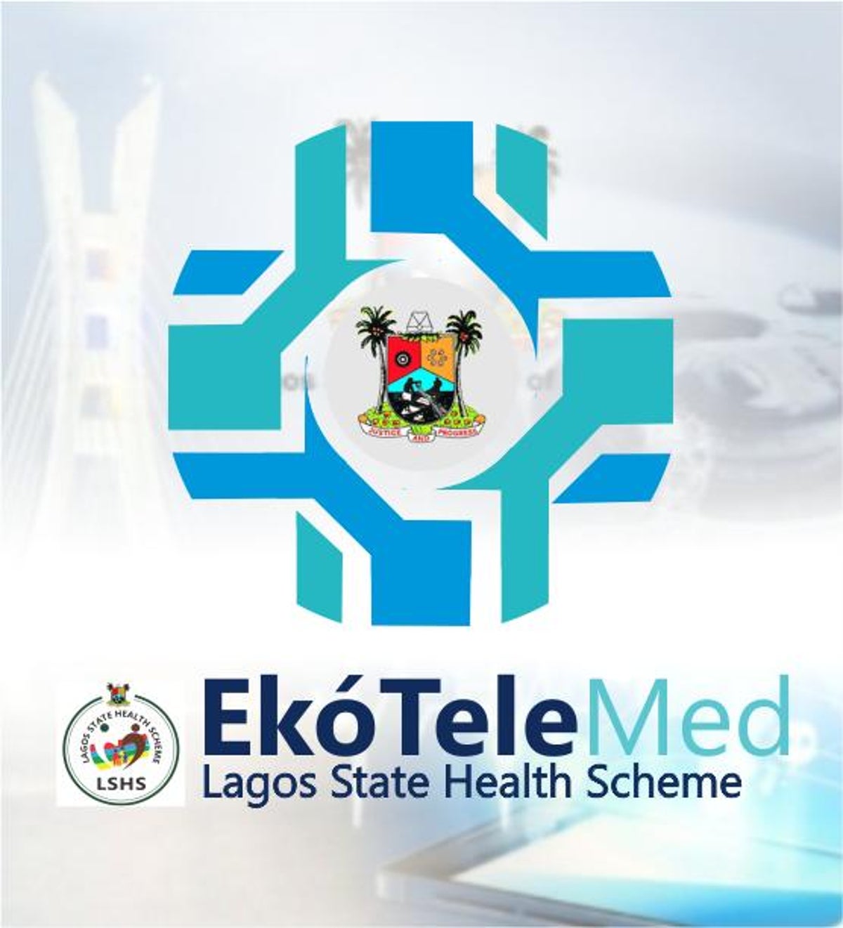 Pros and cons of “EKO TELEMED”, By Queen Nwabueze