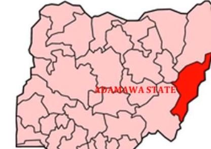 Many killed in Adamawa communal clash