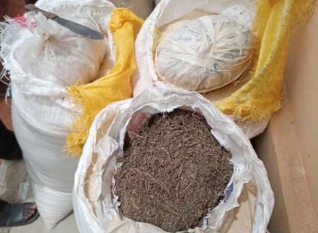 Photos: NDLEA detects Cannabis inside sacks of Garri
