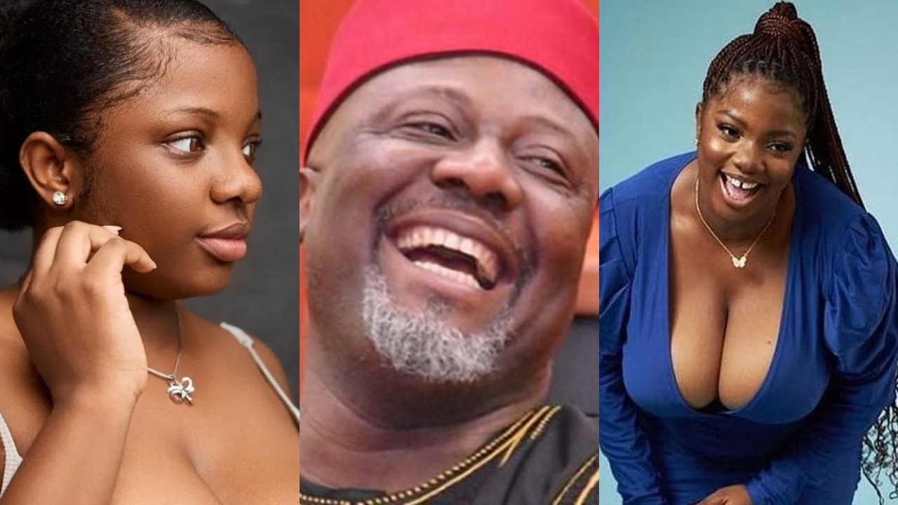 BBNaija: I have a crush on Dino Melaye- Dorathy declares