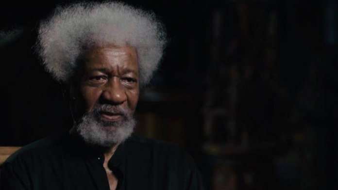 Expecting Nigeria to work without restructuring country is sign of madness – Soyinka