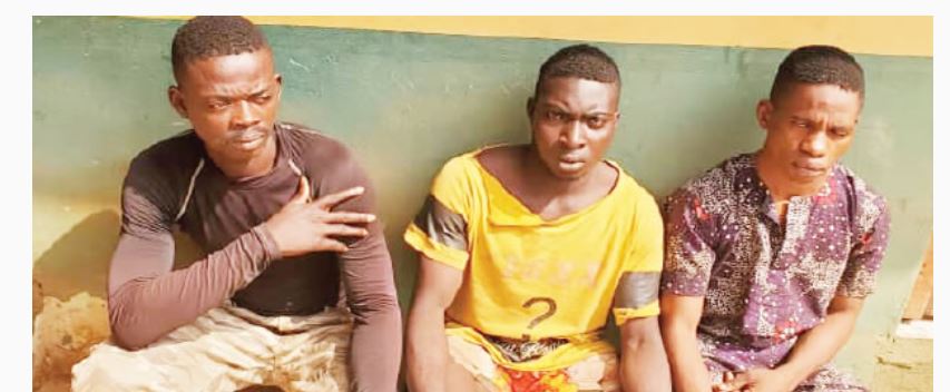 Sad! One million boys members gang-rape lady