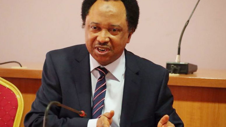 2027: Uba Sani’s return as Kaduna gov my major interest – Shehu Sani