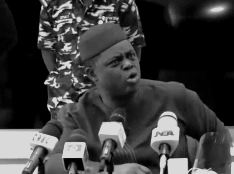 Why we opposed Fani-Kayode’s red carpet reception in APC – PGF DG
