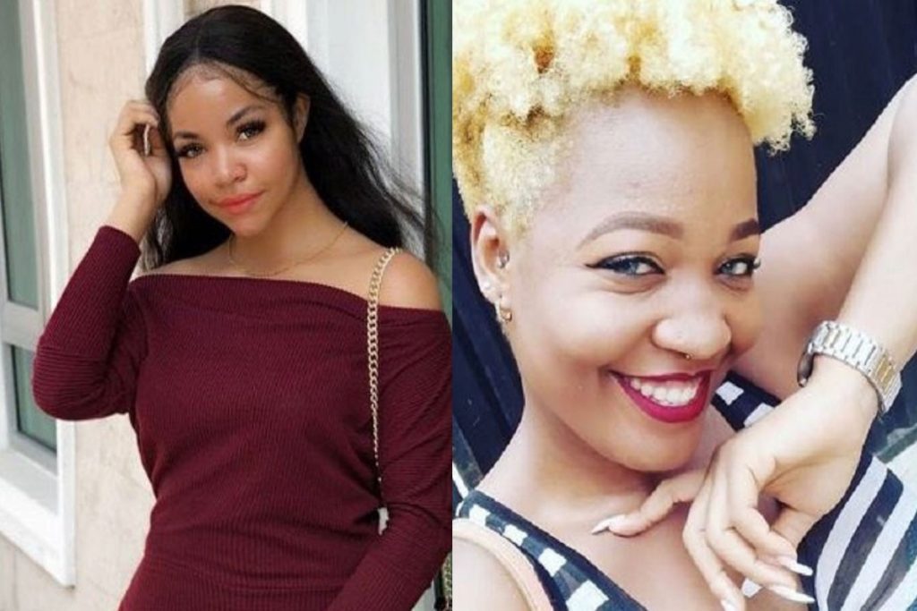 BBNaija 2020: You like to be touched by different men’ – Lucy, Nengi battle in war of words