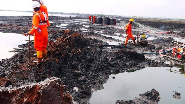 FG hands over Ogoni remediation sites to NOSDRA for scientific analysis