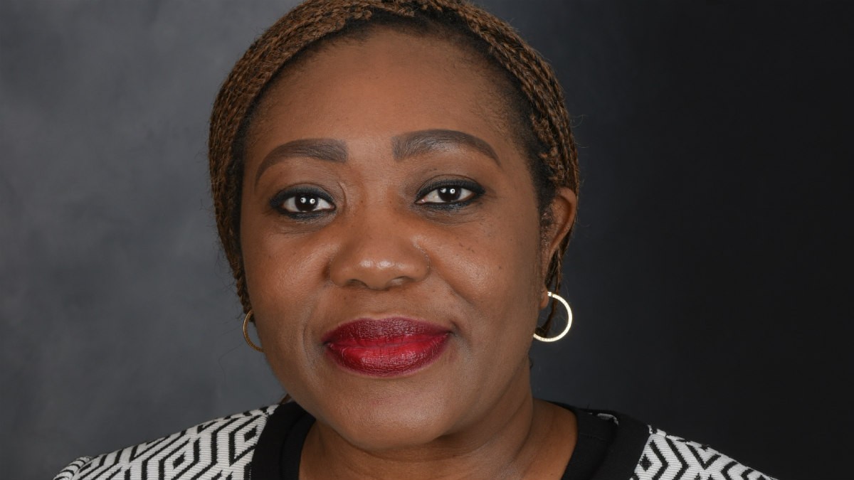 UBA America to Facilitate Investment, Development Capital, Trade Between North America and Africa, says CEO