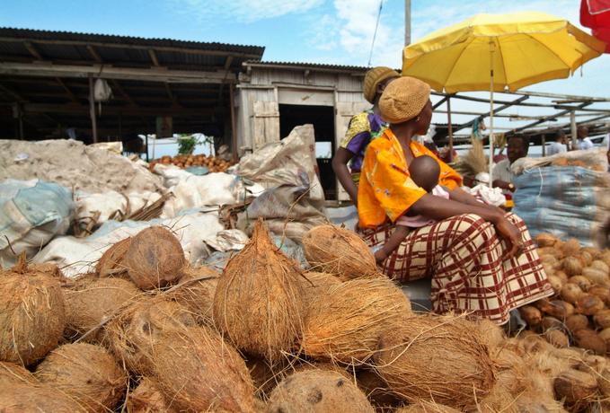 Lagos to establish coconut processing factory in Badagry