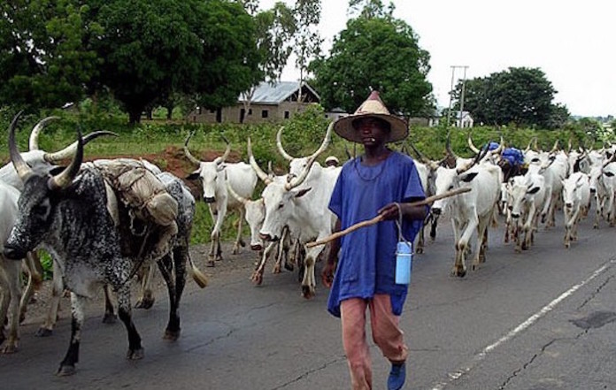 Expose criminal herders, Miyetti Allah tells members