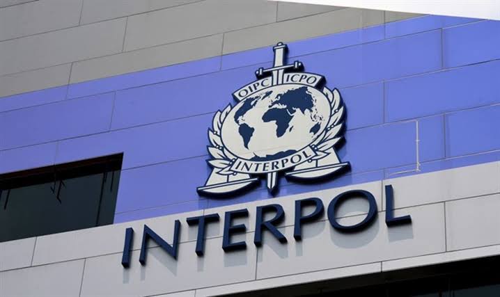 FG seeks INTERPOL support to combat terrorism in Nigeria