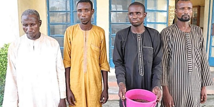 Four ritualists arrested with human head in Niger (Photo)