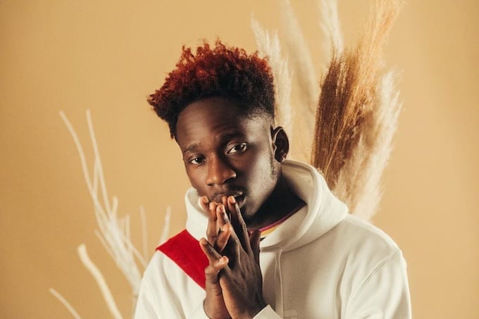What “The Evil Genius” album means to me – Mr Eazi